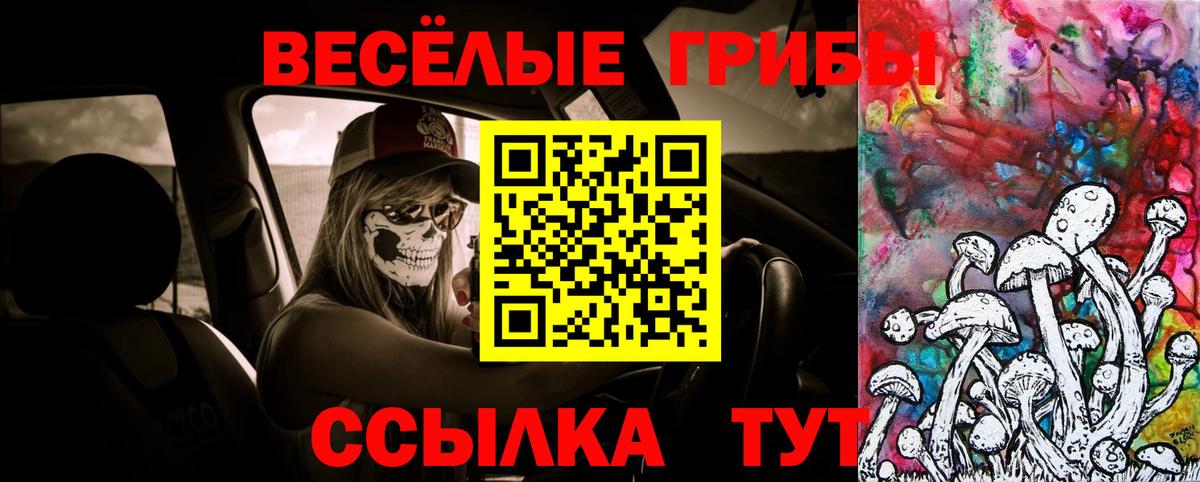 Галлюциногенные грибы мицелий Качканар